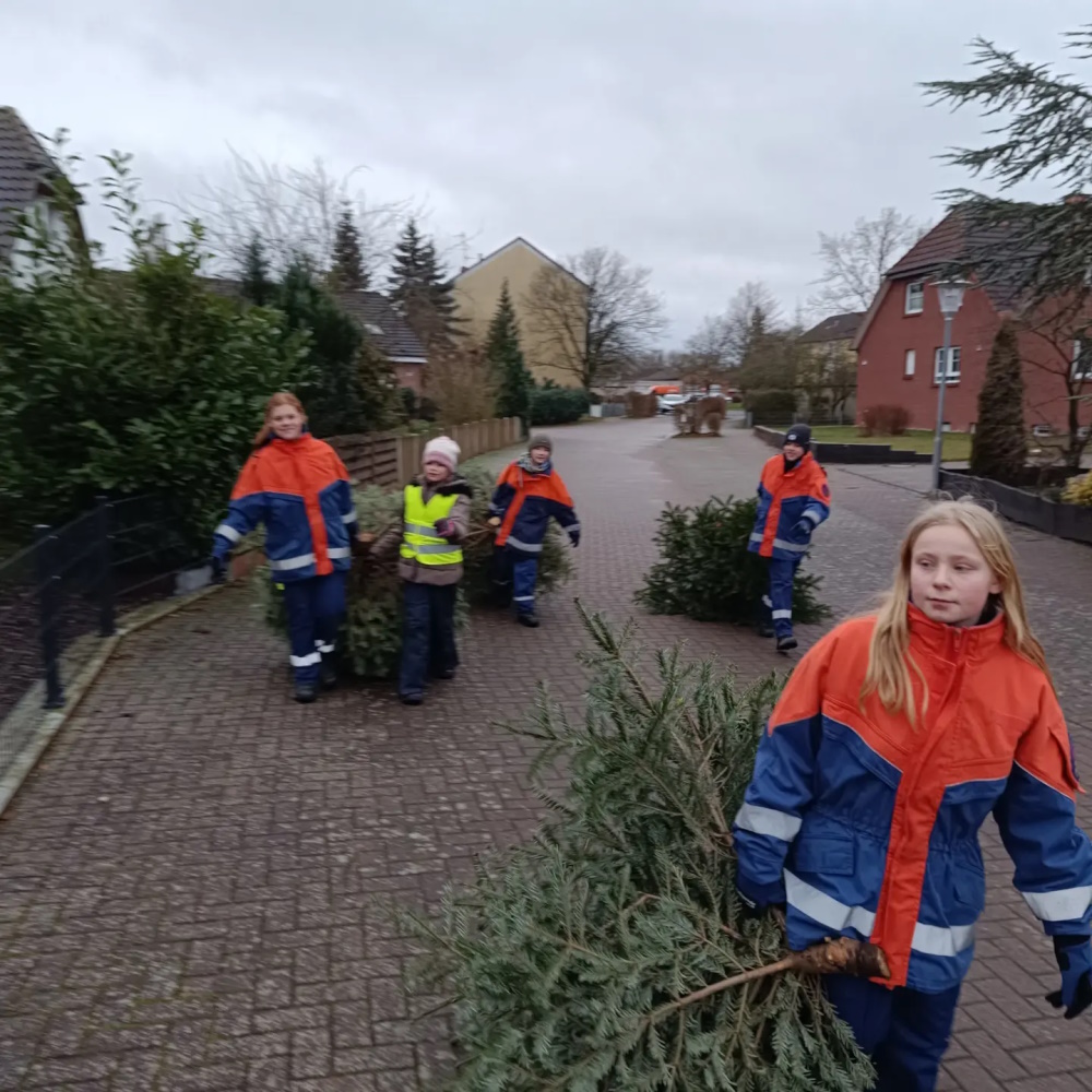 2024 01 13 JF Mehrum sammeltTannenbäume2