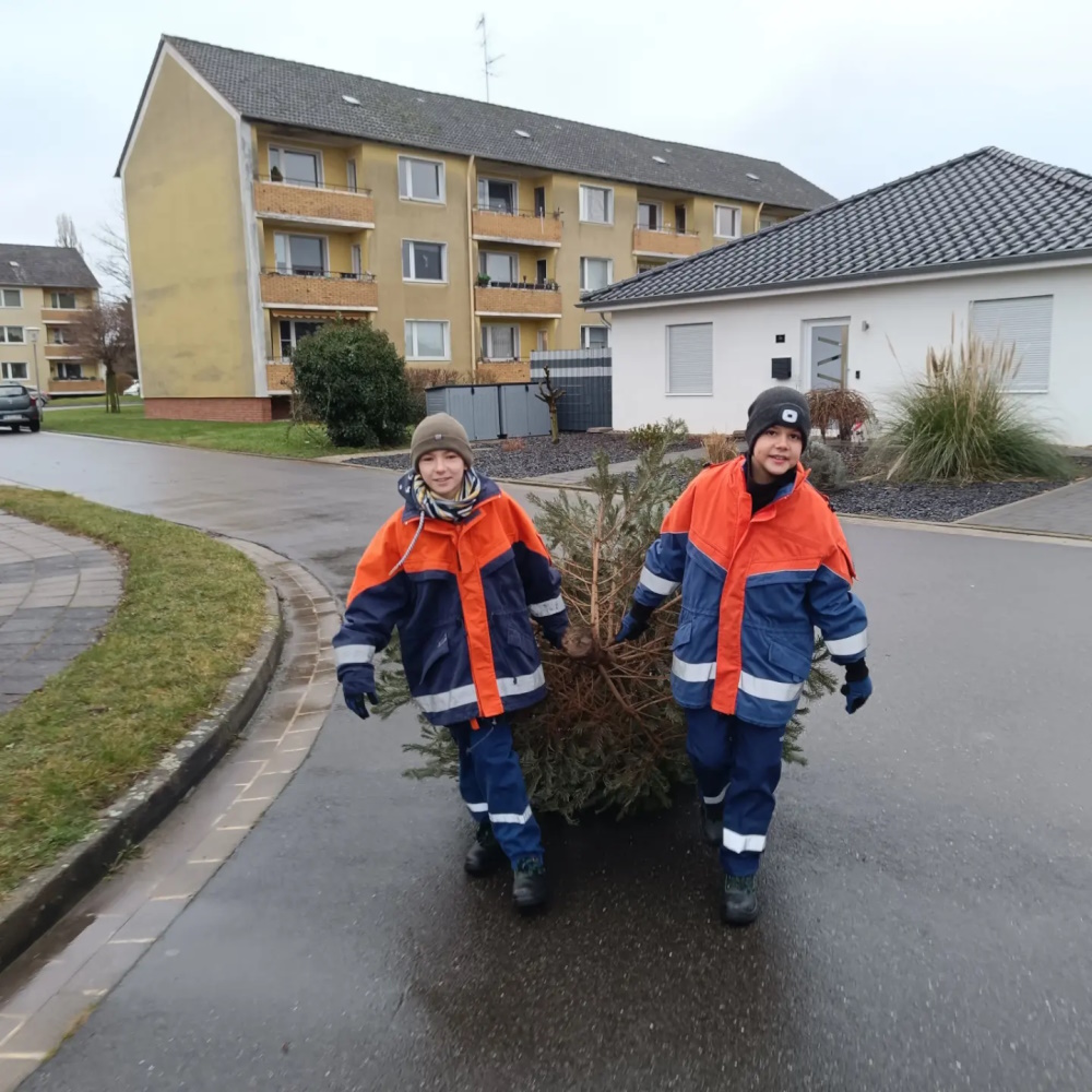 2024 01 13 JF Mehrum sammeltTannenbäume3
