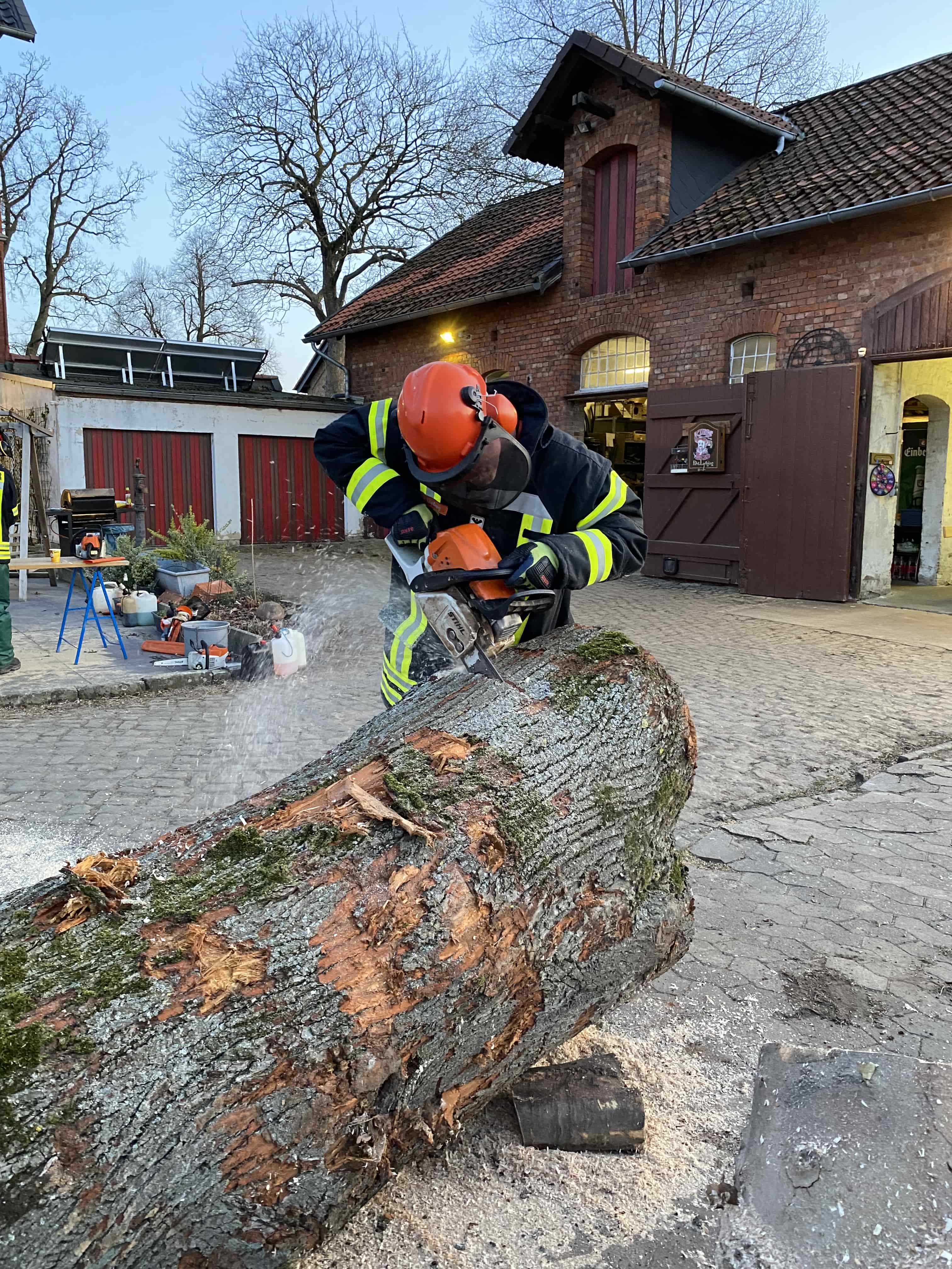 Kettensägenausbildung 08.04.2025 1 