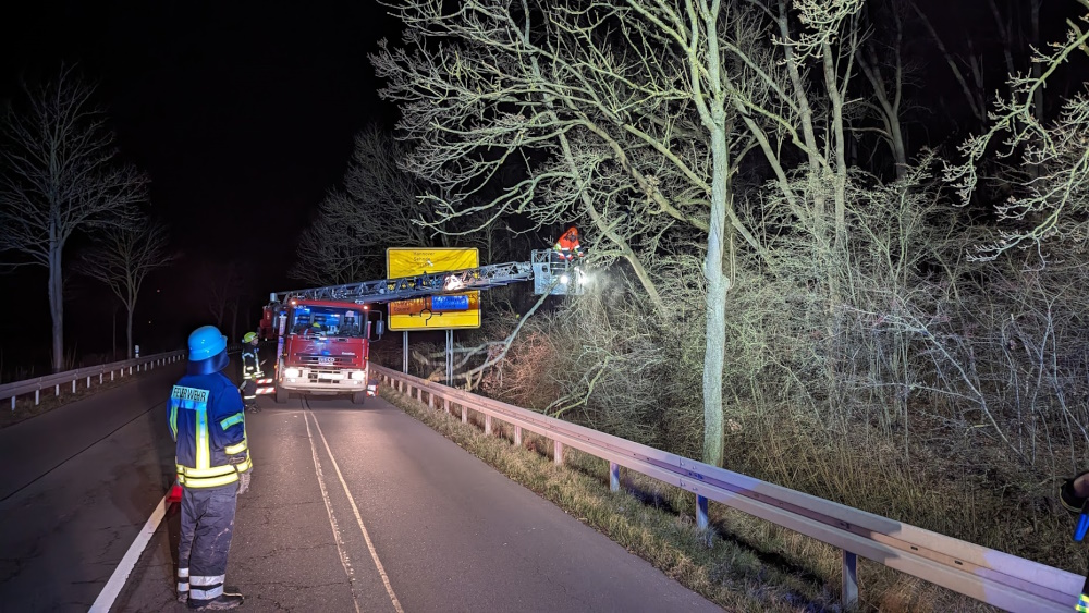 2023 12 30 Baum auf B65 Wünsche4