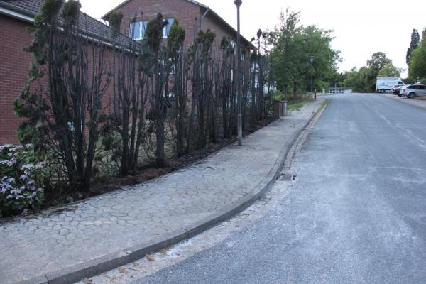 2019_07_04_heckenbrand_hohenhameln_haupt1a