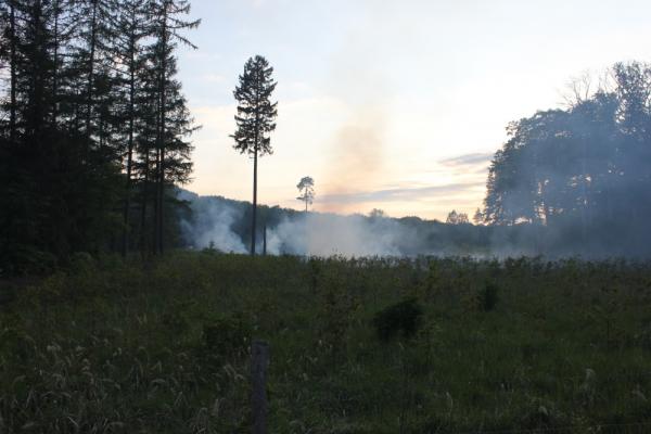2020_05_17_waldbrand_hmerlerwald_haupt1a