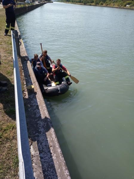 2022_07_20_reh_im_kanal_haupt1a